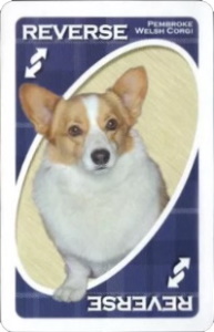 American Kennel Club: Herding Group Blue Uno Reverse Card