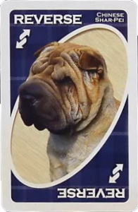 American Kennel Club: Non-Sporting Group Blue Uno Reverse Card